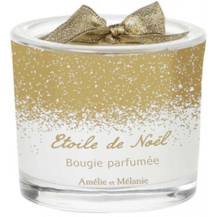  ETOILE DE NOEL