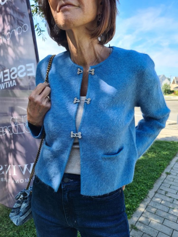 BLEU