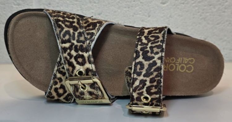  LEOPARD