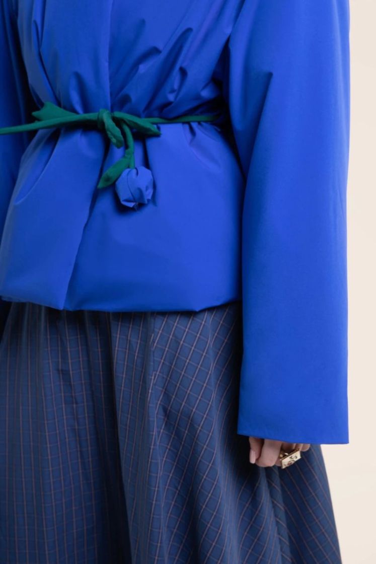 BLEU ROI