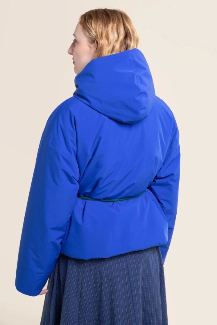BLEU ROI