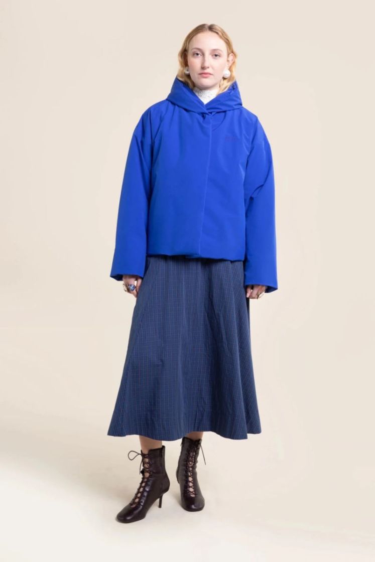  BLEU ROI